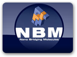 Nano Bridging Molecules SA